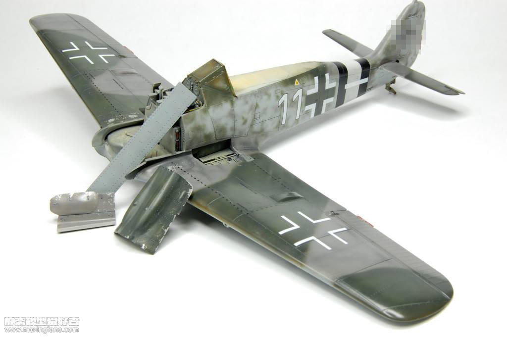 1/48 fw190战斗机(牛魔王)(3)