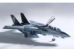 1：48 F-14D tomcat 熊猫