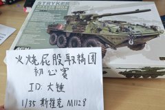 斯崔克M1128火炮系统